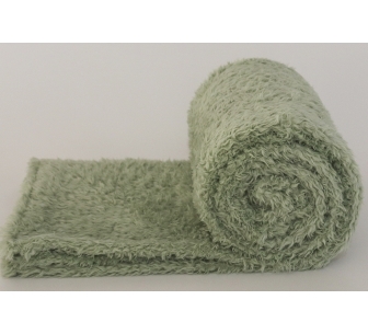 Couverture Tedy eua vert