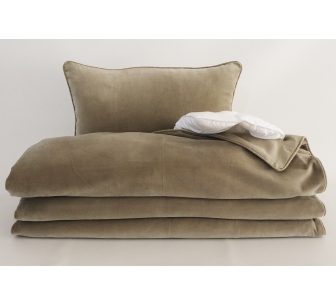 Plaid new dehli craie