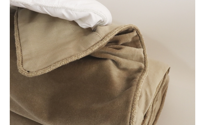 Plaid new dehli craie