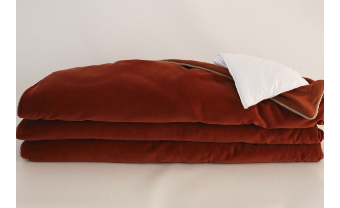 Plaid new dehli brik