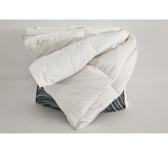 Couette de plumes (220GR)