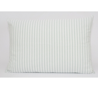 Cojin Sasha verde agua