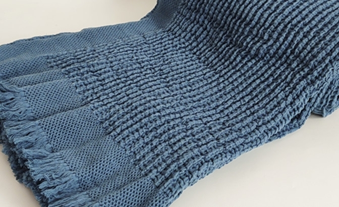 Couverture Fiora bleu